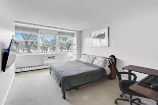 1150 N Lake Shore Dr, Chicago, IL 60611 - Photo 9