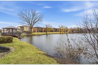 7505 175th Street #133, Tinley Park, IL 60477 - Photo 31