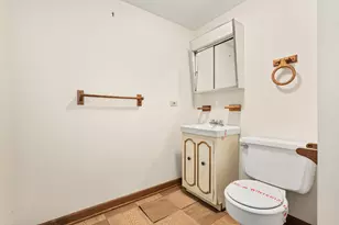 30 Strauss Ln, Olympia Fields, IL 60461 - Photo 41