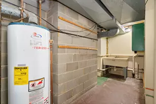 30 Strauss Ln, Olympia Fields, IL 60461 - Photo 39