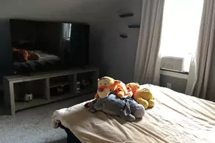 17917 Lorenz Ave, Lansing, IL 60438 - Photo 21