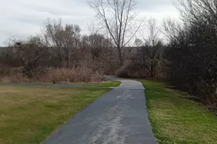 11555 Settlers Pond Way, Orland Park, IL 60467 - Photo 19