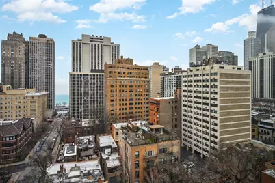 1 E Scott Street #1403, Chicago, IL 60610 - Photo 15