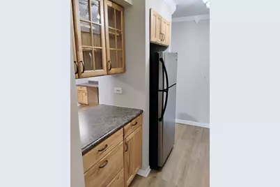 910 W Alleghany Drive #2B, Arlington Heights, IL 60004 - Photo 9