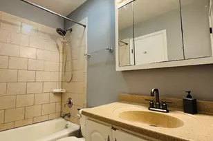 923 Daniels Ct, Schaumburg, IL 60194 - Photo 19