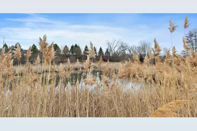 1135 Reserve Drive, Elgin, IL 60124 - Photo 23