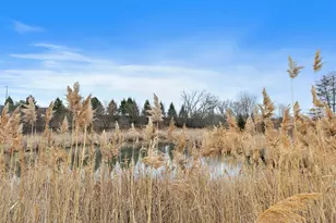 1135 Reserve Dr, Elgin, IL 60124 - Photo 23