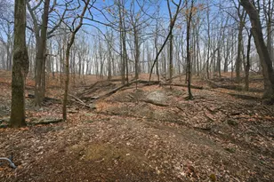 9 Echowood Dr, Algonquin, IL 60102 - Photo 43