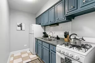 541 W Oakdale Ave, Chicago, IL 60657 - Photo 11