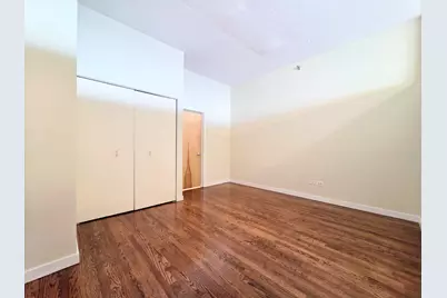 1720 S Michigan Avenue #2814, Chicago, IL 60616 - Photo 11