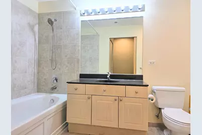 1720 S Michigan Avenue #2814, Chicago, IL 60616 - Photo 13