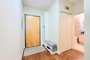 1720 S Michigan Ave, Chicago, IL 60616 - Photo 15