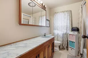 5455 Sand Ridge Rd, Morris, IL 60450 - Photo 19