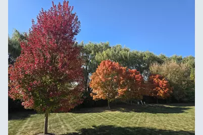264 Rockville Lane, Gilberts, IL 60136 - Photo 3