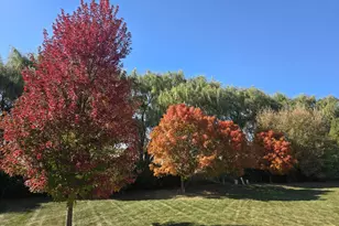 264 Rockville Ln, Gilberts, IL 60136 - Photo 3