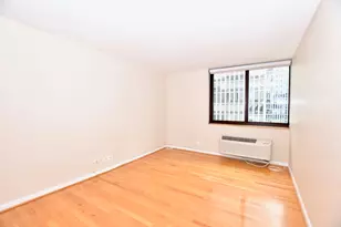 1221 N Dearborn Pkwy, Chicago, IL 60610 - Photo 13