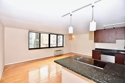 1221 N Dearborn Parkway #1404N, Chicago, IL 60610 - Photo 7