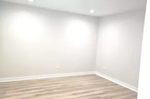 1810 S Hamlin Ave, Chicago, IL 60623 - Photo 5