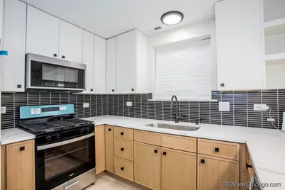 1810 S Hamlin Avenue, Chicago, IL 60623 - Photo 11