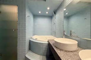 211 E Ohio St, Chicago, IL 60611 - Photo 23