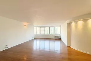 211 E Ohio St, Chicago, IL 60611 - Photo 5