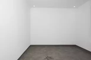 217 W Main St, Lake Zurich, IL 60047 - Photo 27