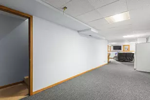 1101 Drexel Rd, Davis, IL 61019 - Photo 33