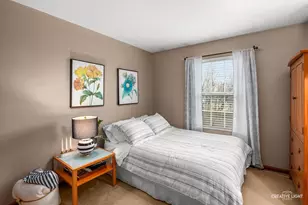 25463 Colligan St, Manhattan, IL 60442 - Photo 17