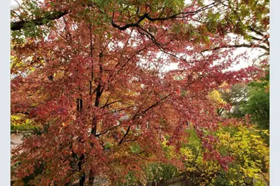 9215 S 83rd Avenue, Hickory Hills, IL 60457 - Photo 21