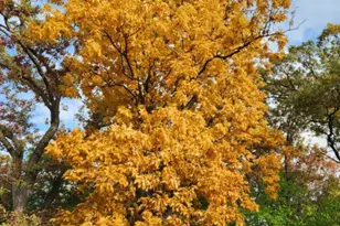 9215 S 83rd Ave, Hickory Hills, IL 60457 - Photo 21