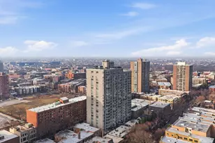 720 W Gordon Terrace, Chicago, IL 60613 - Photo 29