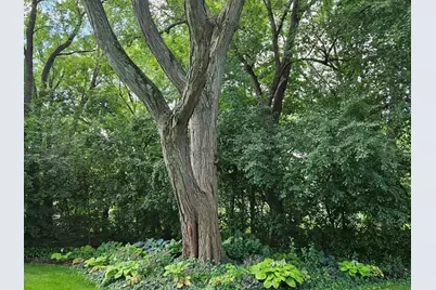 38 Ferndale Road, Deer Park, IL 60010 - Photo 49