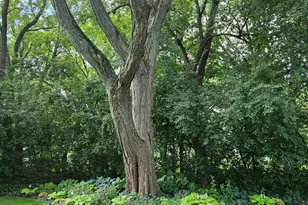 38 Ferndale Rd, Deer Park, IL 60010 - Photo 49