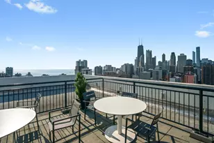 88 W Schiller St, Chicago, IL 60610 - Photo 13