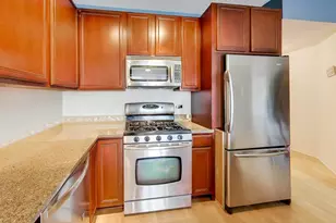 1250 S Indiana Ave, Chicago, IL 60605 - Photo 9