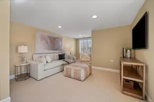 641 Lakeside Dr, Hinsdale, IL 60521 - Photo 53