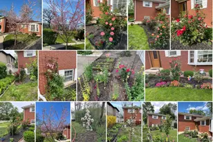 232 Kilpatrick Ave, Wilmette, IL 60091 - Photo 35