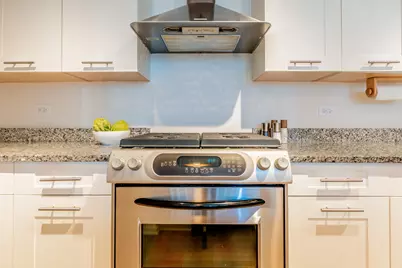 240 E Illinois Street #604, Chicago, IL 60611 - Photo 17