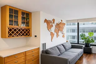 230 E Ontario St, Chicago, IL 60611 - Photo 3