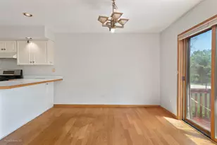 11127 Shenandoah Dr, Orland Park, IL 60467 - Photo 7