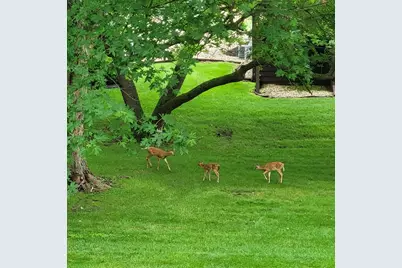 2917 Brookview Drive #1, Freeport, IL 61032 - Photo 47