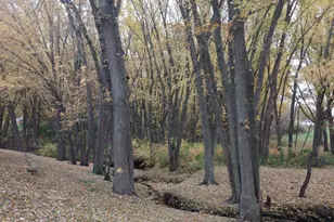 2917 Brookview Dr, Freeport, IL 61032 - Photo 45