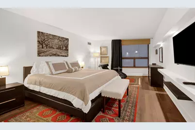 110 E Delaware Place #401, Chicago, IL 60611 - Photo 15