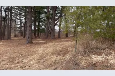 0 Shaw Road, Compton, IL 61318 - Photo 5