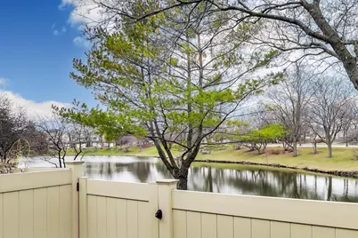 18 Whitman Drive, Schaumburg, IL 60173 - Photo 7