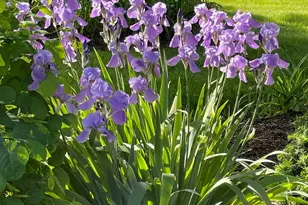 1256 Whitingham Cir, Naperville, IL 60540 - Photo 37