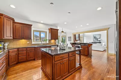 1887 Snead Street, Bolingbrook, IL 60490 - Photo 11