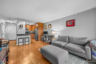 450 W Briar Pl, Chicago, IL 60657 - Photo 7