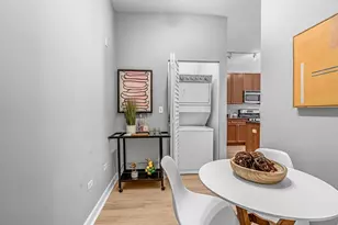 1351 S Halsted St, Chicago, IL 60607 - Photo 13