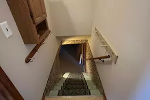 447 Dennis Ave, Bradley, IL 60915 - Photo 21